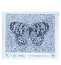 Load image into Gallery viewer, Stereo Butterfly Test (Random Dot)
